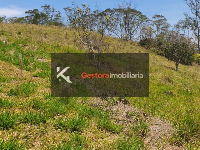 #190 - Área para Venda em Ribeirão Pires - SP